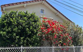 My Casa 2